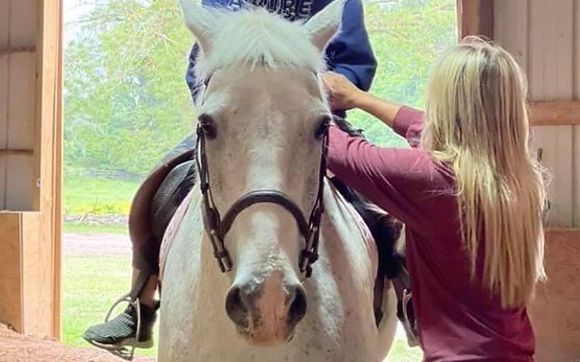 Horseback Riding Lessons by NK Equestrian, LLC