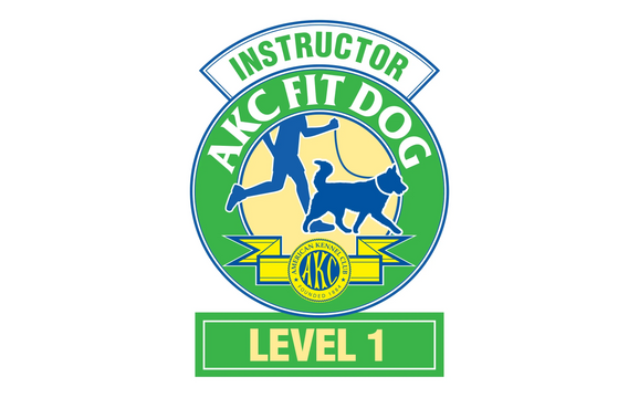 AKC Fit Dog Level 1 Program By Rocky Top K9 LLC In Sevierville TN 
