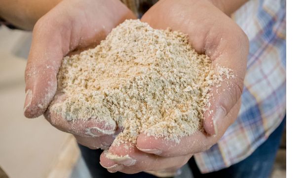 ORGANIC STONE GROUND HARD RED SPRING SIFTED & WHOLE WHEAT FLOUR by Aurora Mills & Farms