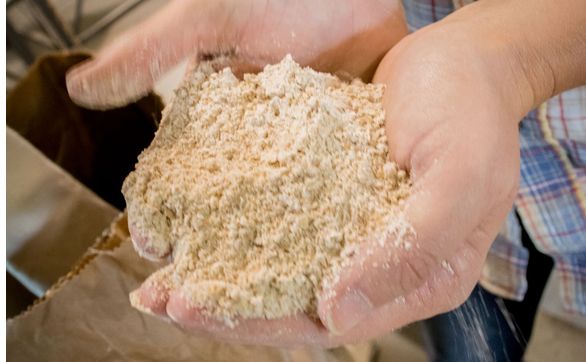 ORGANIC STONE GROUND RYE FLOUR by Aurora Mills & Farms