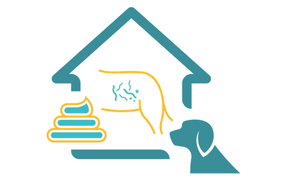 Basic Fecal Tests - Dog by Affordable Pet Labs