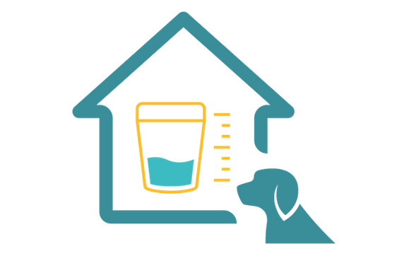 Complete Urinalysis with Microscopic Evaluation - Dog by Affordable Pet Labs