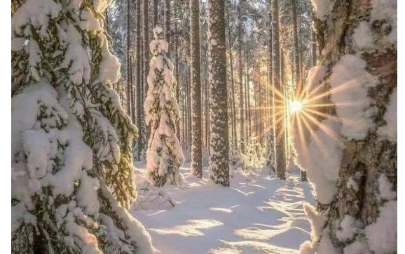 Virtual Appointments by Aligned Vibrations