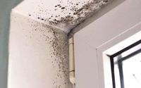Mold Remediation by Servpro of Appleton and Winnebago County