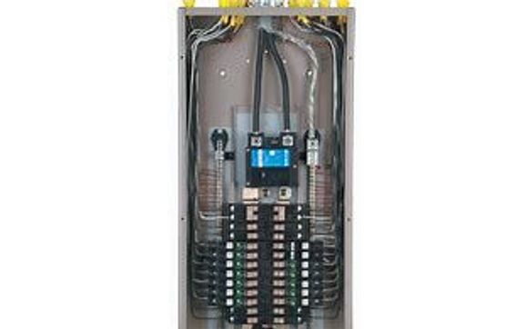 we offer a wide range of electrical components by Branch Manager City Electric Supply Carrollwood