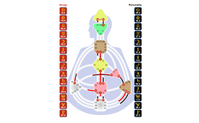 Quantum Human Design™ Reading by Kristen Toscano