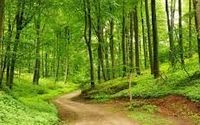 Nature-Informed Mental Health Services by Outdoor Therapeutics, LLC