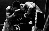  promotion and management. by Peltz Boxing Promotions