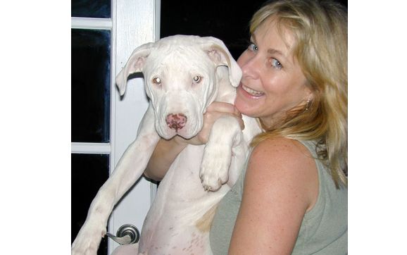 Animal Behavior Consultation by Common Sense Behavior Services