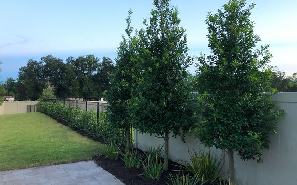 Landscape Design by Helix Green Designs