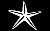 Starfish Platform by Starfish Platform