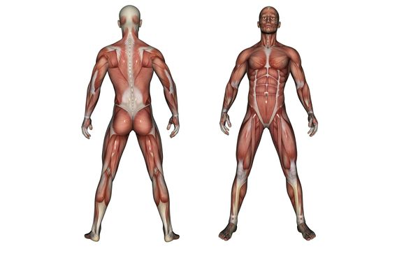 Meticulously Deep Tissue by Meticulous Massage
