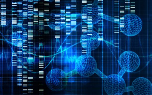Molecular Assay Development by DevLab bio Contract Research Services