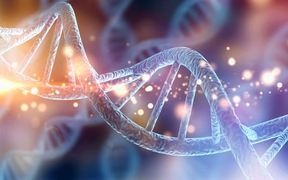 Molecular Diagnostic Test Development by DevLab bio Contract Research Services