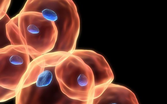 Immunoassay Development by DevLab bio Contract Research Services