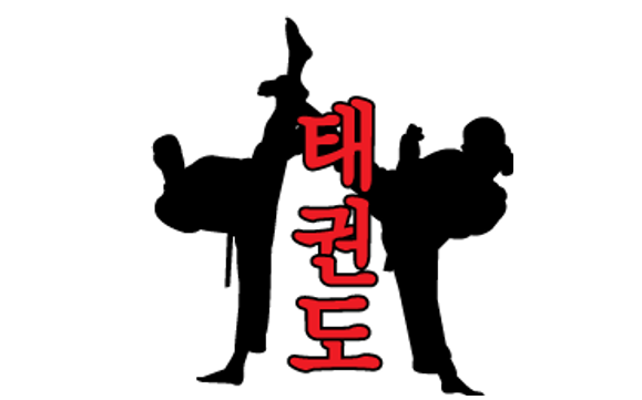 Taekwondo for Juniors age 7-13 by Shuman's ATA Martial Arts