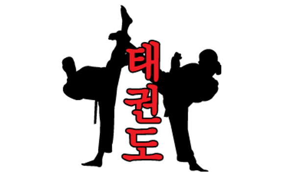 Taekwondo for Adults by Shuman's ATA Martial Arts