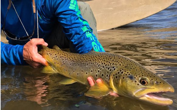 Fishtales Outfitting  by FishTales Outfitting