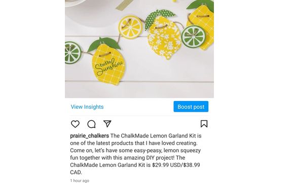 ChalkMade Lemon Garland Kit