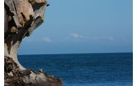 Plan Your 2022 Travel With Us by Sticks and Stones-Arbutus Grove Cottage