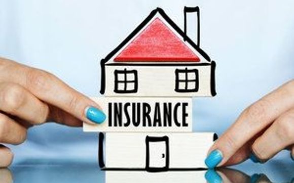 Homeowners Insurance by Shelter Insurance - Tara Parker