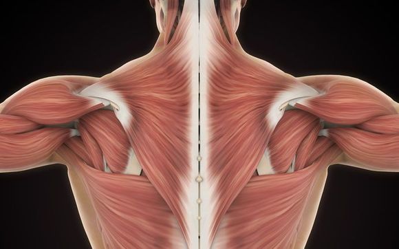 Online Booking www.corporatemassagetherapies.com by Corporate Massage Therapies-Advanced Treatment Center LL