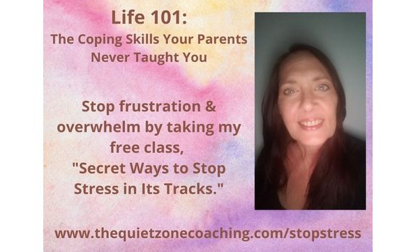 Goal Setting and Accountability Support by The Quiet Zone Coaching