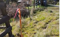 Free Estimates by Timothy Giordano Land Surveyor