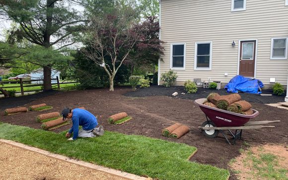 Sod Instalation by rogelio's landscaping service LLC