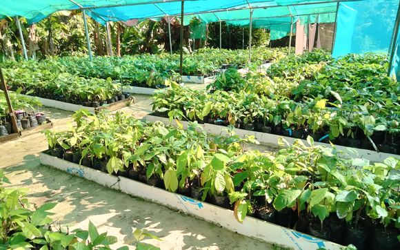 Sustainable Agriculture by Jeanmarie Chocolat