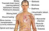 Stem cell nutrition can give you incredible health benefits! by Tracey Cade
