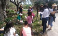 Online and In-Person Permaculture Design Courses by Grow Permaculture