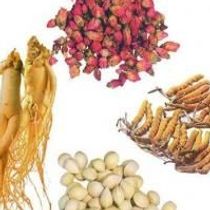 Herbalism and Herbal Medicine by Traditional Chinese Medicine of New York