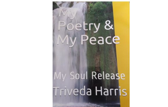 Book by Wings Of Transformation Publishing LLC