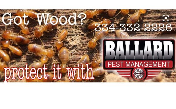 Liquid and Bait Protection by Ballard Pest  Management