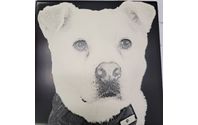 Laser Engraved Photo Tile by Frogtown tees