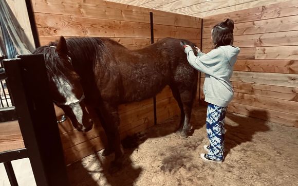 We offer free Faith Based Equine Assisted Therapy for at risk Youth. by GodSpeed Equine