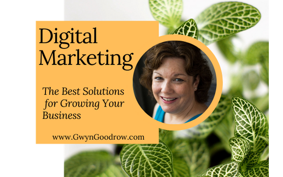 Set of 5 Website or Blog Posts - SEO Optimized by Goodrow Media Solutions, LLC