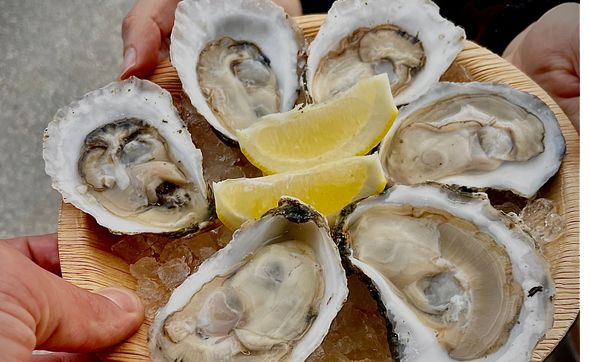 Raw Bar by Brother Shucker LLC