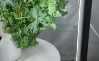 Tower Garden  by Tower Gardens Juiceplus