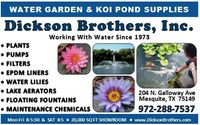 Water Garden & Koi Pond Supplies & Maintenance by Dickson Brothers Inc