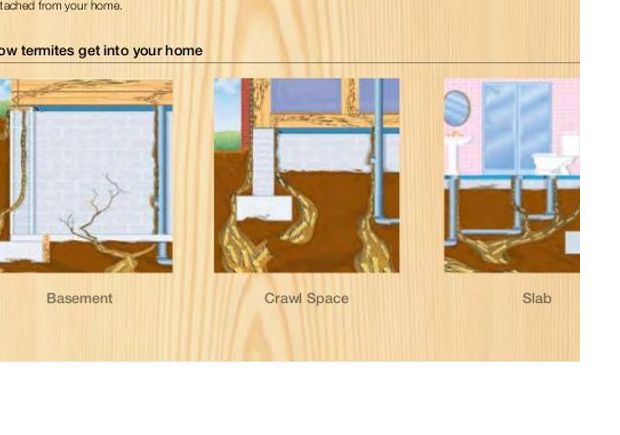 Termite Treatments  by Great Southern Exterminating