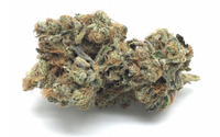 Bulk Flower - Exotic Indoor Grown Flower by Caliwanna Distribution and Manufacturing