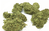 Bulk Flower - Mixed Light Grown Flower by Caliwanna Distribution and Manufacturing