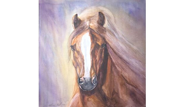 Welsh Pony Breeder and Training Farm by Dartland Farms