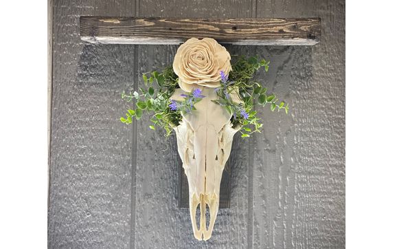 Visit Our Etsy Store by MorgueMade Taxidermy