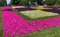 Quilt Gardens Tour Along the Heritage Trail by Great Life Tours