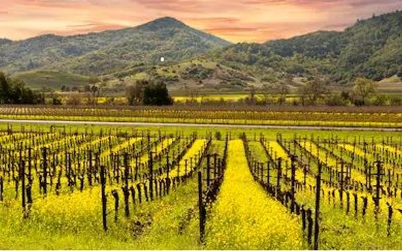 Time to visit Wine Country!  We are open by Ultimate Wine Tours