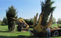 Commercial Landscaping by Galbally Landscaping Inc