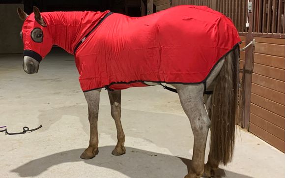 We sell blankets and Slinkys by Equine Blanket Wash & Repair